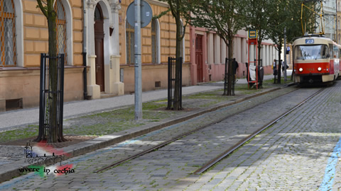 tram-23-turistico-praga